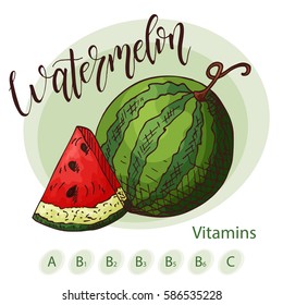 Vector fruit element of watermelon. Hand drawn icon with lettering. Food illustration for cafe, market, menu design