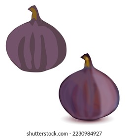 Vector de fruta fig púrpura plano con sombras enteras sobre fondo blanco