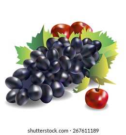 vector fruit food grape vine fresh nature