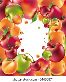 vector fruit frame