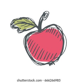 Vector fruit hand drawn apple. Good for menu and food package