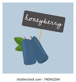 Vector Fruit - Honeyberry