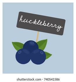 Vector Fruit - Huckleberry