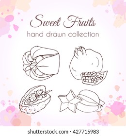 Vector fruit illustration. Set of hand drawn fresh fruits with colorful watercolor splashes.