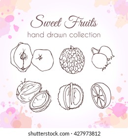 Vector fruit illustration. Set of hand drawn fresh fruits with colorful watercolor splashes.