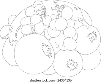 vector -  fruit isolated on white background