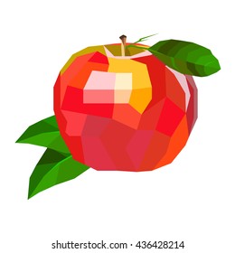 vector fruit leaf illustration apple fresh nature