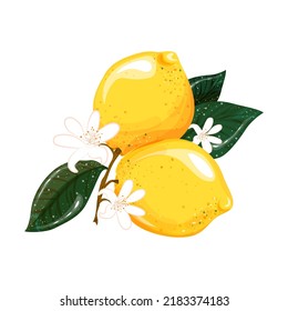 Image vectorielle branche de citron de fruits sur fond blanc avec feuilles. Pour les couvertures, les cartes postales et les emballages.