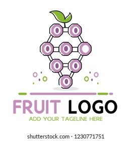 vector of fruit logo