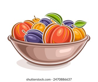 Vector Fruit Logo, decorative horizontal poster with outline illustration of colorful fruit composition with green leaves, cartoon design fruity label with juicy assorted fruits on white background