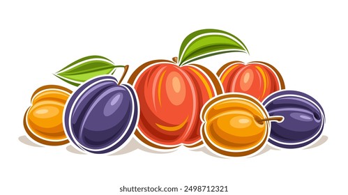 Vector Fruit Logo, decorative horizontal poster with outline illustration of raw fruit composition with green leaves, cartoon design fruity print with ripe juicy assorted fruits on white background