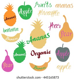 Vector fruit logo. Fruit and vegetables silhouettes with lettering. Fruits icons for groceries, agriculture stores, packaging and advertising. Vector labels design.