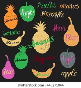 Vector fruit logo. Fruit and vegetables silhouettes with lettering. Fruits icons for groceries, agriculture stores, packaging and advertising. Vector labels design.