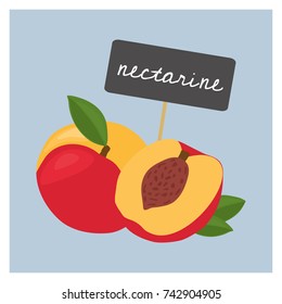Vector Fruit - Nectarine