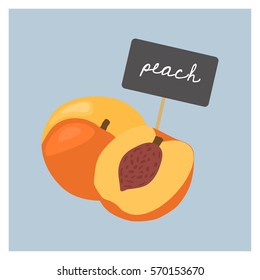 Vector Fruit - Peach
