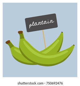 Vector Fruit - Plantain