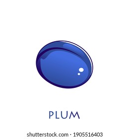 vector fruit plum. Bright picture of ripe plum