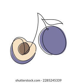 Vector fruit plum icon. Line continuous hand drawn illustration. Abstract drawing. Garden plant. Minimal linear silhouette. Minimal design, outline print, banner, card, brochure, logo, menu, sign.