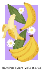 Vector fruit poster with banana
