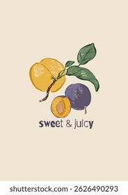 Vector fruit poster of peach and plum. Hand-drawn garden harvest sketch. Tasty food illustration for restaurant and cafe interior, fruit market drawing print, fabric or background.