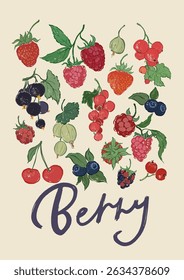 Vector fruit poster of strawberry, raspberry and cherry. Hand-drawn garden harvest sketch. Tasty food illustration for restaurant and cafe interior, fruit market drawing print, fabric or background.