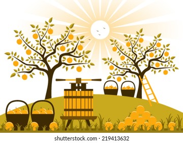 vector fruit press and baskets of apples in apple orchard