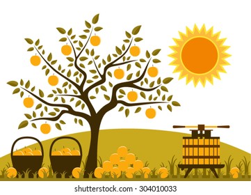 vector fruit press, baskets of apples and pile of apples in orchard
