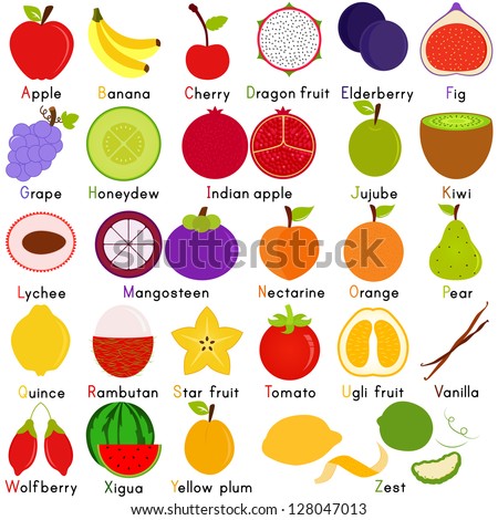 vector fruit representing alphabet z dictionary stock vector