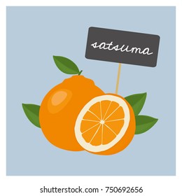 Vector Fruit - Satsuma