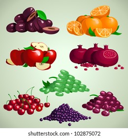 Vector fruit set, plums, oranges, apples, grapes, cheries, blackberries, granades