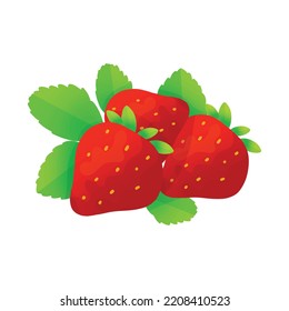 Vector Fruit Strawberries Colorful Style