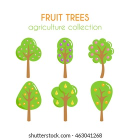 Vector fruit trees illustration. Apple tree. Plum and pear cartoon set. Flat argiculture collection.