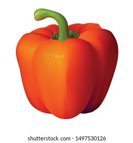Vector fruit is useful for packaging needs
