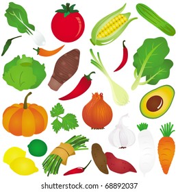 Vector of Fruit, vegetable - onion lemon cabbage lime bean kale avocado spinach cucumber tomato corn radish carrot chili pumpkin potato parsley. Set of cute colorful icon collection isolated on white