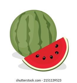 vector fruit watermelon on white background color