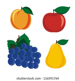 Vector fruits