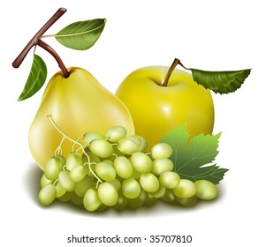 Vector. Fruits.