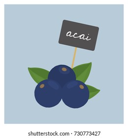 Vector Fruits - Acai