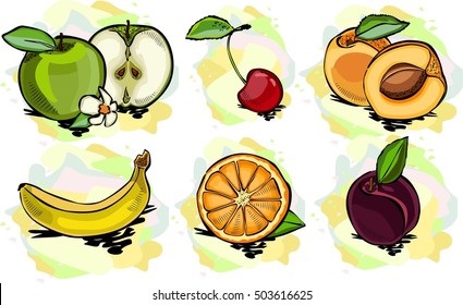 Vector fruits, an apple, cherry, banana, orange, plum, apricot
