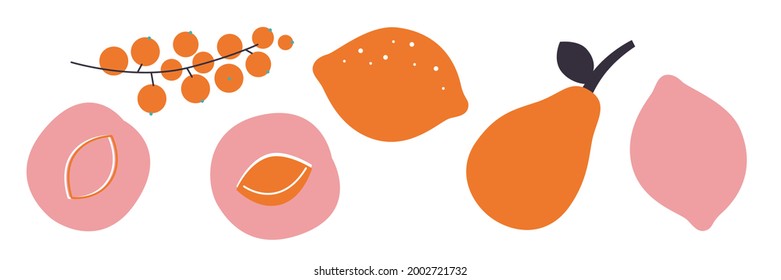 Vector fruits and berries flat illustration. Autumn harvest cartoon elements. Cartoon flat fruit set. Summer berries clip art.