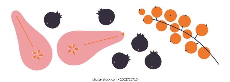 Vector fruits and berries flat illustration. Autumn harvest cartoon elements. Cartoon flat fruit set. Summer berries clip art.