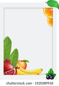Vector fruits and berries flyer banner card template for design. Vector illustration
