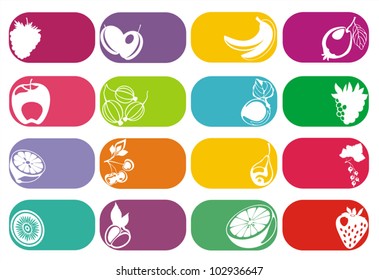 vector fruits and berries vector labels set