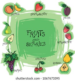 Vector fruits and berries with their names