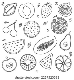 Vector fruits big outline set. Farm product for restaurant menu, market label. Strawberry, pomegranate, watermelon and etc.