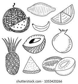 Vector fruits drawing