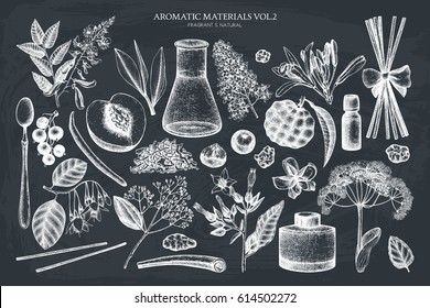 Vector fruits and flowers collection. Hand drawn outlines. Vintage perfumery and cosmetics ingredients set. Aromatic and medicinal plant.
