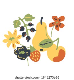 Vector fruits and flowers concept