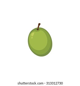 Vector Fruits - Green Olive