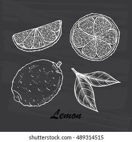 Vector Fruits. Hand drawn Lemons 